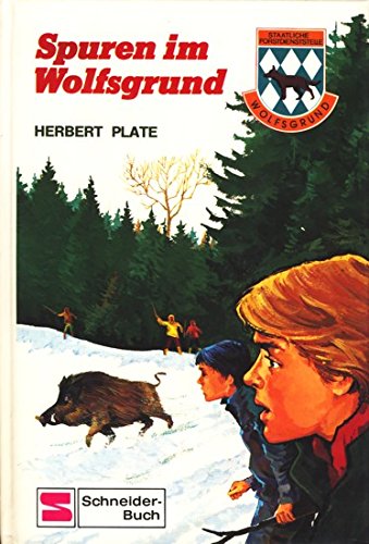 Beispielbild fr Spuren im Wolfsgrund (Bd.3) zum Verkauf von medimops