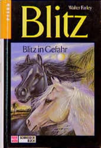 Imagen de archivo de Blitz, Bd.11, Blitz in Gefahr a la venta por medimops