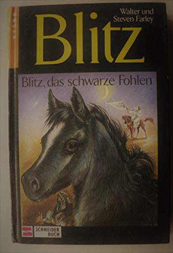 Stock image for Blitz, Bd.13, Blitz, das schwarze Fohlen for sale by medimops
