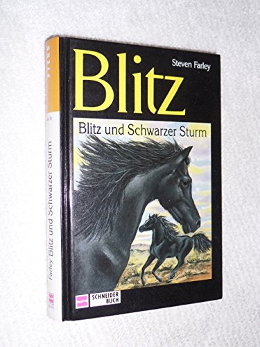 Imagen de archivo de Blitz, Bd.15, Blitz und Schwarzer Sturm a la venta por medimops