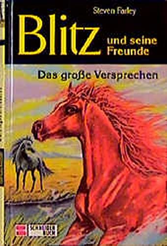 Stock image for Blitz und seine Freunde, Bd.1, Das groe Versprechen for sale by medimops