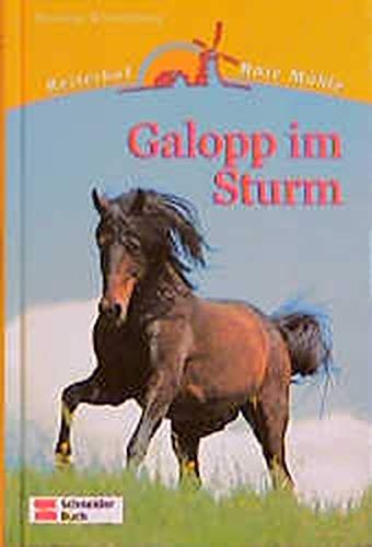 Imagen de archivo de Reiterhof Rote Mhle, Bd.4, Galopp im Sturm a la venta por medimops
