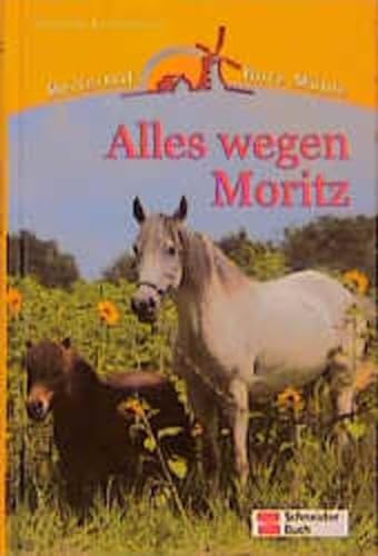 Imagen de archivo de Reiterhof Rote Mhle, Bd.5, Alles wegen Moritz a la venta por medimops