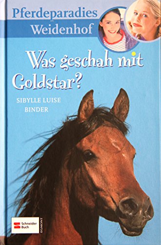 Stock image for Pferdeparadies Weidenhof, Band 04: Was geschah mit Goldstar? for sale by medimops