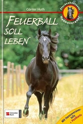 9783505121265: Pferdeabenteuer Hannoveraner. Feuerball soll leben!: Mit Hannoveraner-Info und Postkarte