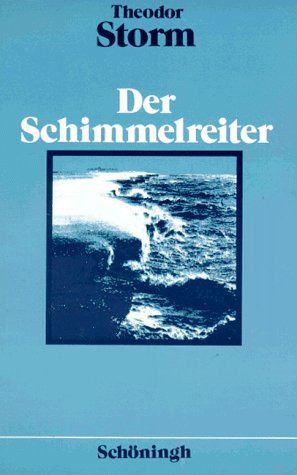 Imagen de archivo de Der Schimmelreiter. Novelle a la venta por medimops