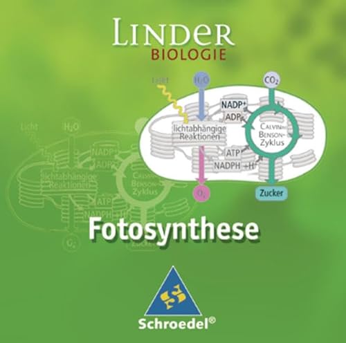 Beispielbild fr LINDER Biologie. Unterrichtswerk und Begleitmaterialien: Fotosynthese: Einzelplatzlizenz (LINDER Biologie SII) zum Verkauf von medimops