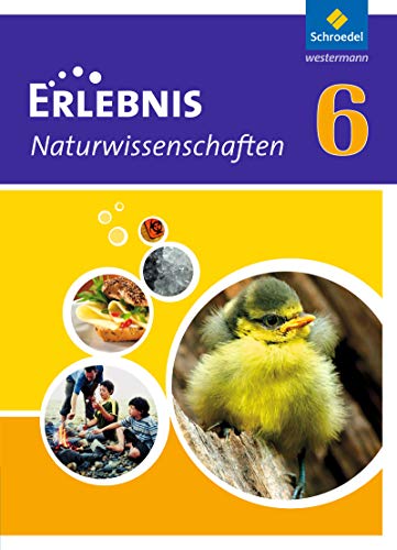 Stock image for Erlebnis Naturwissenschaften - Ausgabe 2010 fr Rheinland-Pfalz: Schlerband 6 for sale by medimops