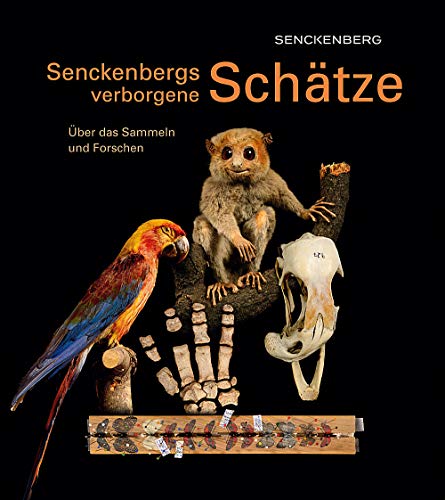 Stock image for Senckenbergs verborgene Schtze: ber das Sammeln und Forschen (Kleine Senckenberg-Reihe) for sale by medimops