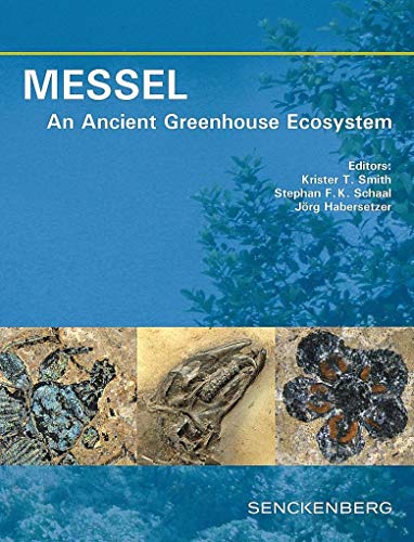 9783510614110: MESSEL - An Ancient Greenhouse Ecosystem