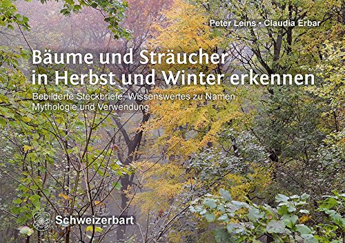 9783510653409: Bume und Strucher in Herbst und Winter erkennen: Bebilderte Steckbriefe, Wissenswertes zu Namen, Mythologie und Verwendung