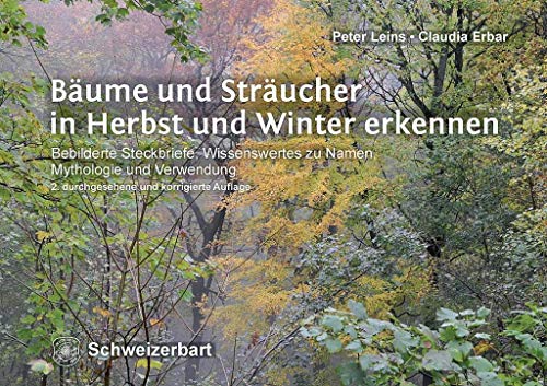 9783510653997: Bume und Strucher in Herbst und Winter erkennen: Bebilderte Steckbriefe, Wissenswertes zu Namen, Mythologie und Verwendung
