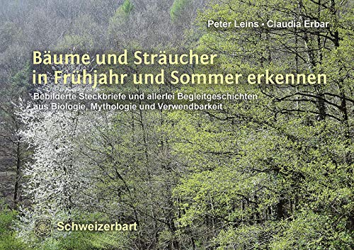 Beispielbild fr Bume und Strucher in Frhjahr und Sommer erkennen zum Verkauf von Blackwell's