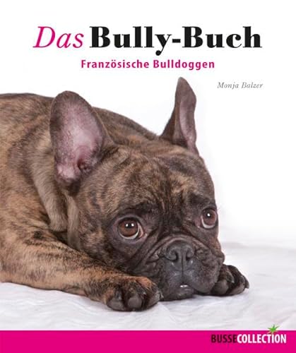 Beispielbild fr Das Bully-Buch: Franzsische Bulldoggen zum Verkauf von medimops