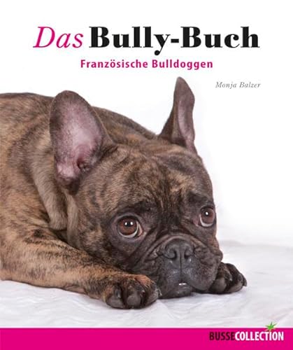Stock image for Das Bully-Buch: Franzsische Bulldoggen for sale by medimops