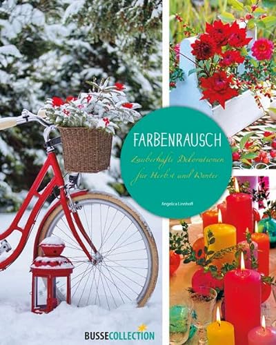 Stock image for Farbenrausch: Zauberhafte Dekorationen fr Herbst und Winter for sale by medimops
