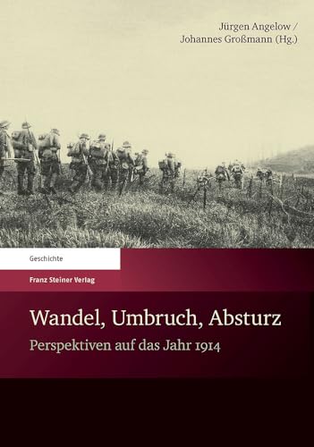 Stock image for Wandel, Umbruch, Absturz: Perspektiven auf das Jahr 1914 (German Edition) for sale by Books From California