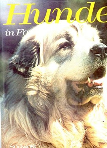 Imagen de archivo de Hunde in Farbe a la venta por 3 Mile Island