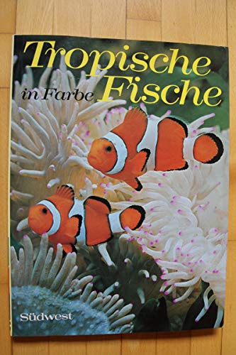 Beispielbild fr Tropische Fische in Farbe zum Verkauf von Bernhard Kiewel Rare Books