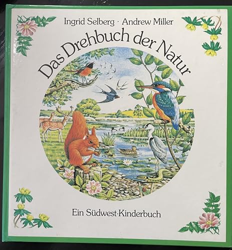 Stock image for Das Drehbuch der Natur for sale by Sigrun Wuertele buchgenie_de