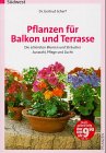 Imagen de archivo de Pflanzen fr Balkon und Terrasse. Die schnsten Blumen und Strucher. Auswahl, Pflege und Zucht a la venta por Antiquariat  Angelika Hofmann