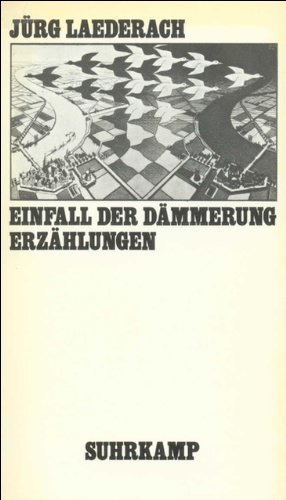 Imagen de archivo de Einfall der Dmmerung: Erzhlungen a la venta por medimops