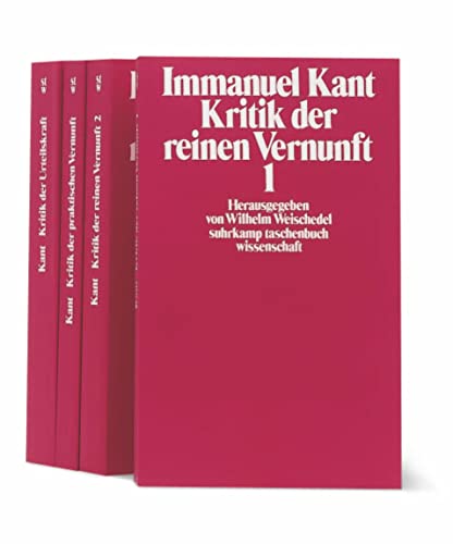 Imagen de archivo de Immanuel Kant. Kritik der Urteilskraft. Suhrkamp Taschenbuch Wissenschaft. 2. Auflage 1996 a la venta por Discover Books