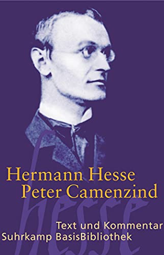 Beispielbild fr Peter Camenzind: Text Und Kommentar zum Verkauf von Revaluation Books