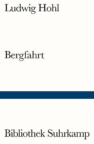 Stock image for Bergfahrt for sale by PBShop.store US