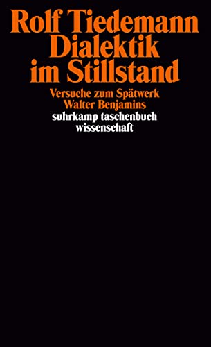 Beispielbild fr Dialektik im Stillstand. Versuche zum Sptwerk Walter Benjamins, zum Verkauf von modernes antiquariat f. wiss. literatur