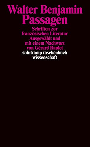 Passagen: Schriften zur französischen Literatur (suhrkamp taschenbuch wissenschaft) - Benjamin, Walter