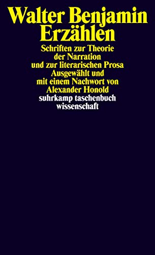 9783518294413: Erzhlen: Schriften zur Theorie der Narration und zur literarischen Prosa