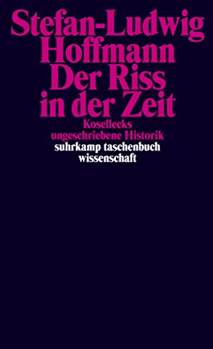 Stock image for Der Riss in der Zeit for sale by Blackwell's
