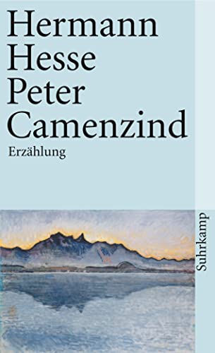 9783518366615: Peter Camenzind