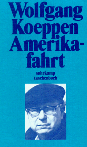 Stock image for Amerikafahrt for sale by Versandantiquariat Felix Mcke