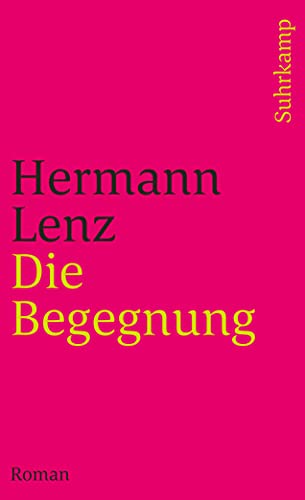 Stock image for Die Begegnung. Roman for sale by German Book Center N.A. Inc.