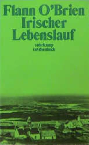 9783518374863: Irischer Lebenslauf. Eine arge Geschichte vom harten Leben.