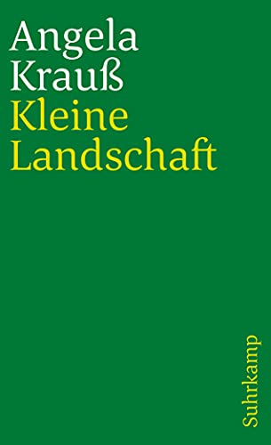 Stock image for Kleine Landschaft. Erzhlungen. for sale by medimops