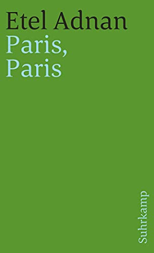 Beispielbild fr Paris, Paris (suhrkamp taschenbuch) zum Verkauf von medimops