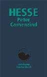 9783518398678: Peter Camenzind. Sonderausgabe.