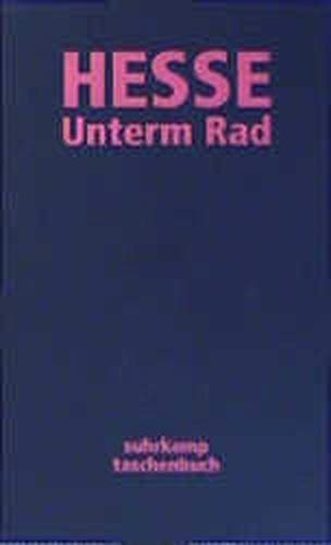 Stock image for Unterm Rad for sale by PRIMOBUCH
