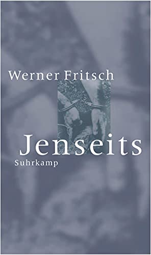 9783518411216: Fritsch, W: Jenseits