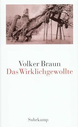 Das Wirklichgewollte - Braun, Volker
