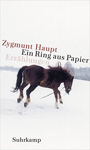 9783518414293: Ein Ring aus Papier: Erzhlungen