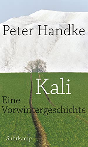 9783518418772: Kali: Eine Vorwintergeschichte