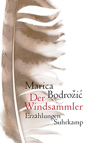 9783518419144: Der Windsammler: Erzhlungen