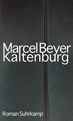 9783518419205: Kaltenburg