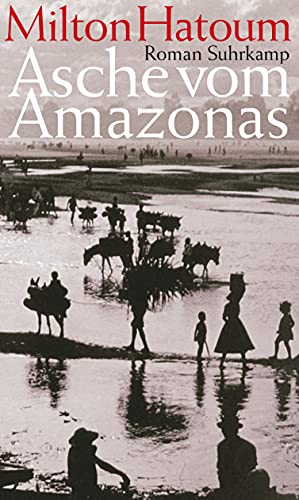 Beispielbild fr Asche vom Amazonas: Roman zum Verkauf von medimops