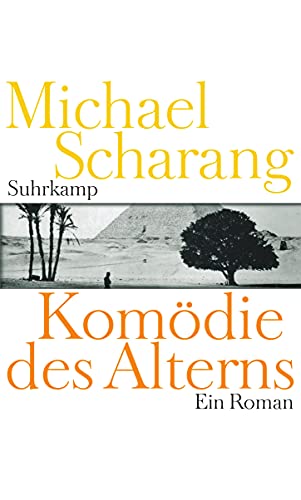 Imagen de archivo de Komdie des Alterns: Ein Roman a la venta por Ammareal