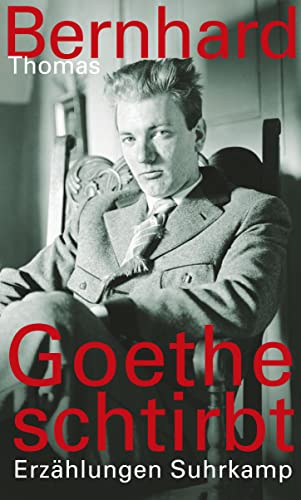 9783518421703: Goethe schtirbt: Erzhlungen